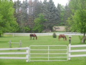 Life on the farm