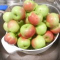 bowl of apples sitting on counter